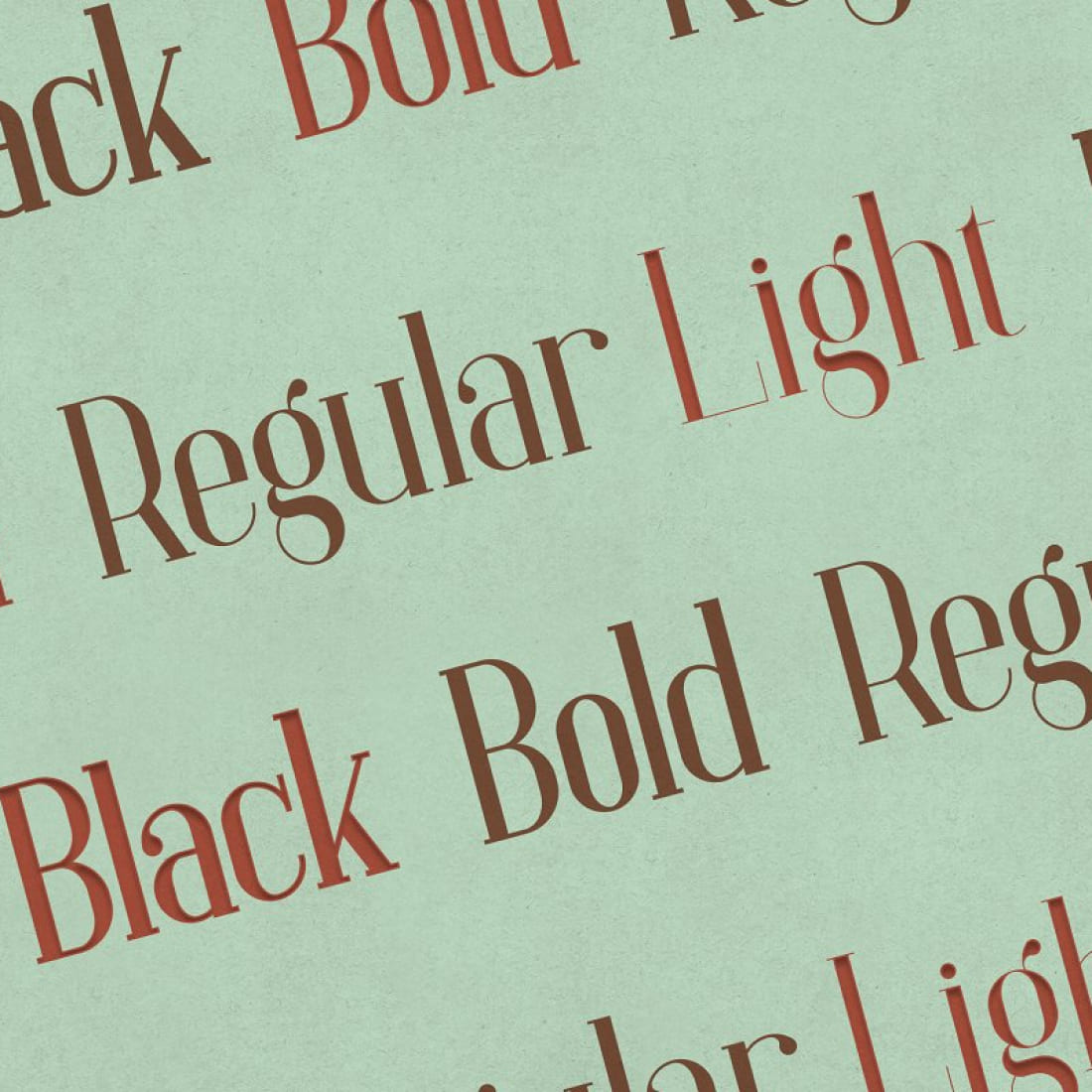 Baleine – Slab Serif Font 4 weights cover image.