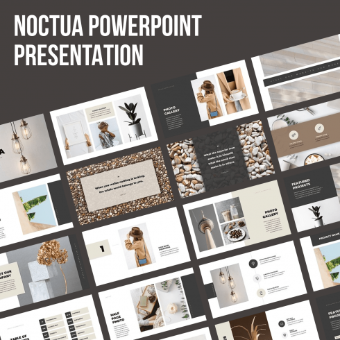 Noctua PowerPoint Presentation by MasterBundles.