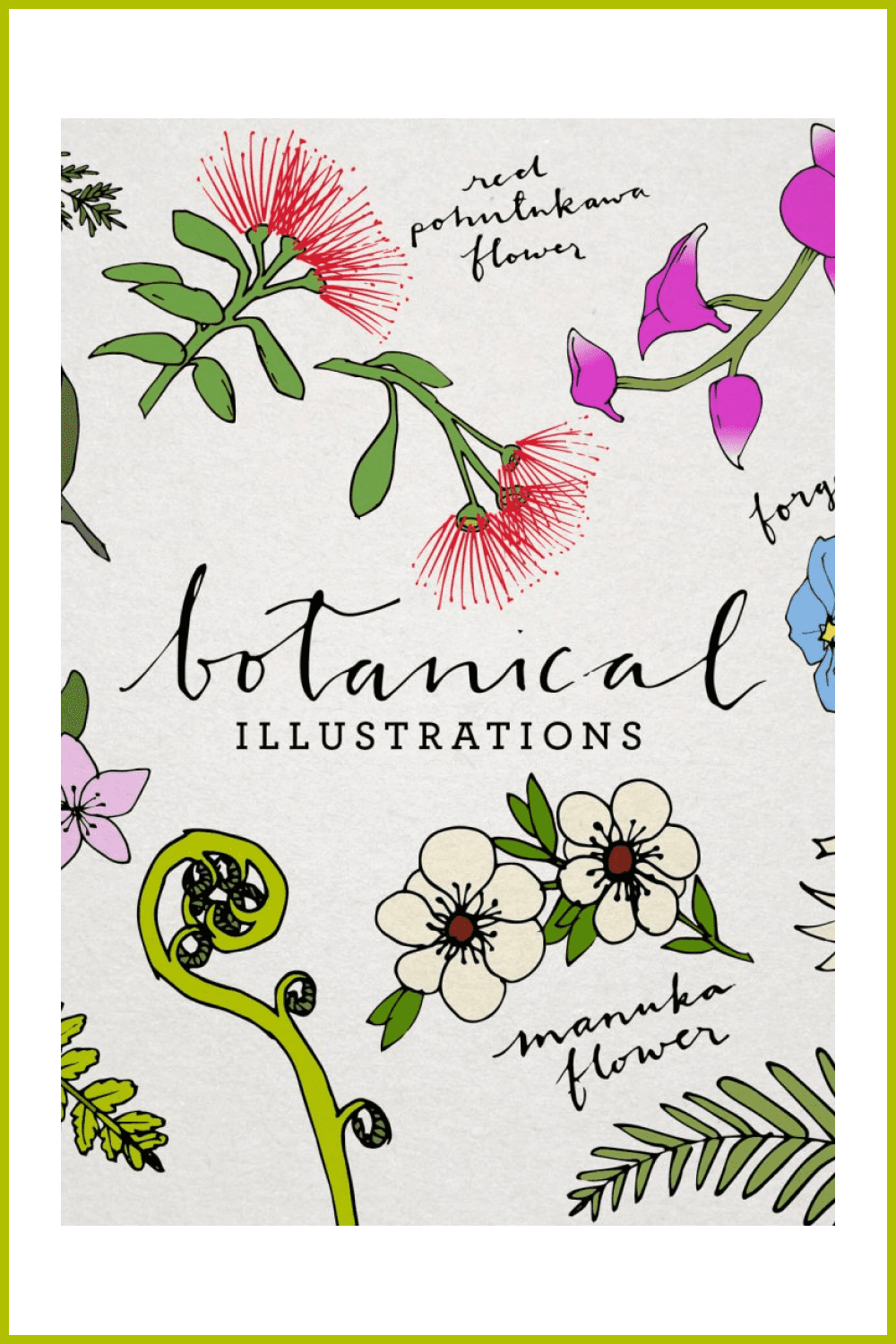 Botanical & Floral Illustration Pack - MasterBundles - Pinterest Collage Image.