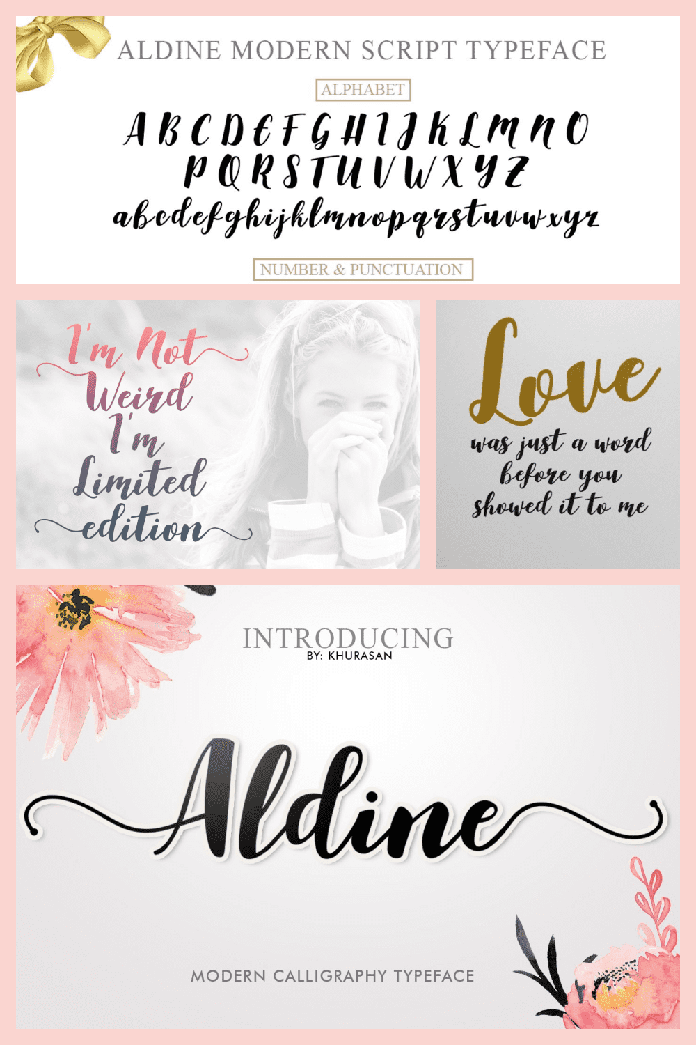 Aldine Handmade Calligraphy Script - MasterBundles - Pinterest Collage Image.
