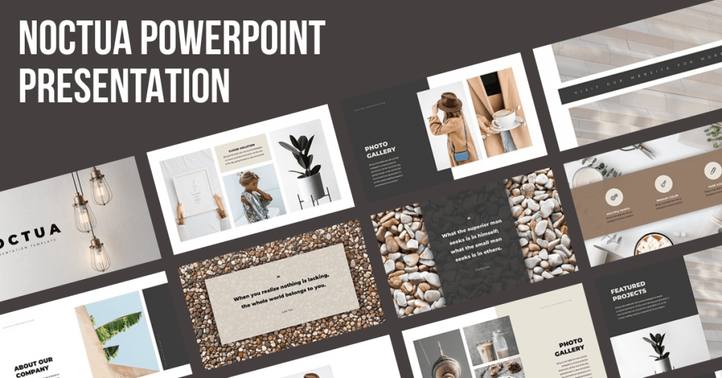 Noctua PowerPoint Presentation by MasterBundles Facebook Collage Image.