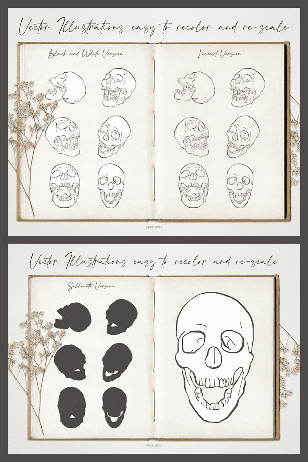 Anatomical Skulls: Hand Drawn Vector Illustrations - MasterBundles - Pinterest Collage Image.