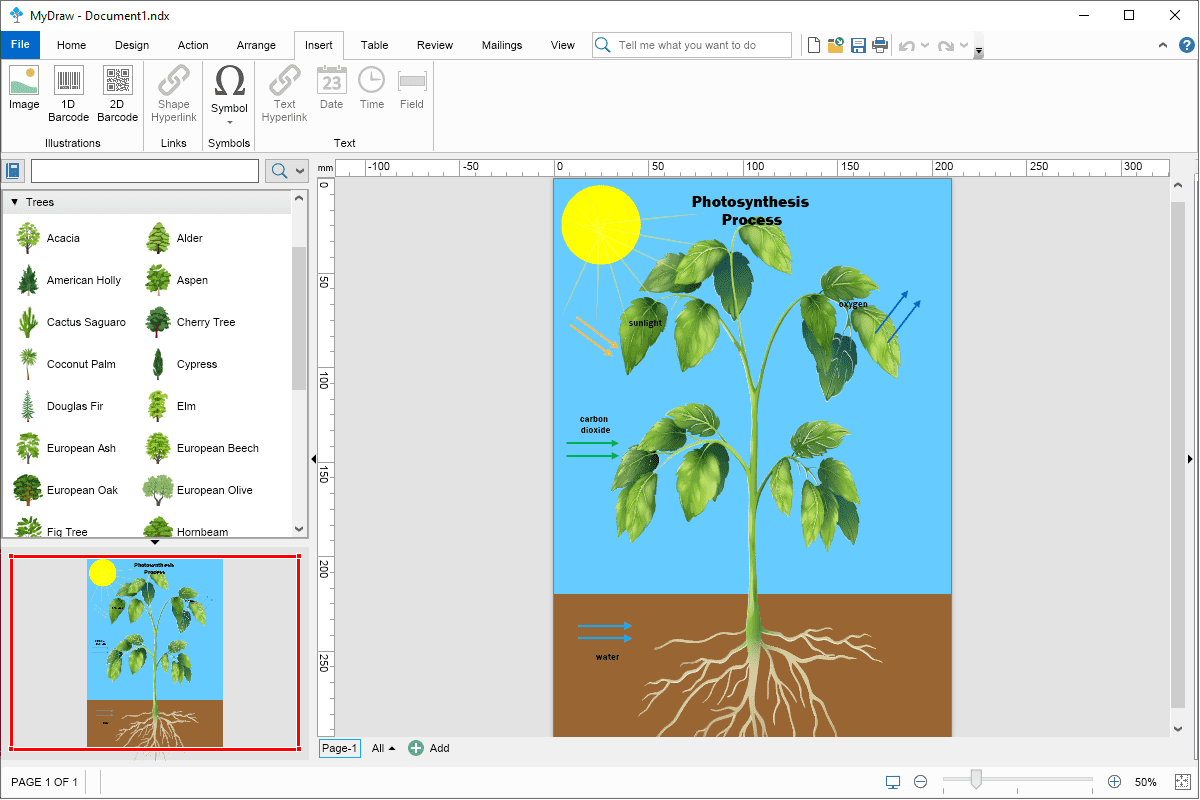 PhotosynthesisProcess