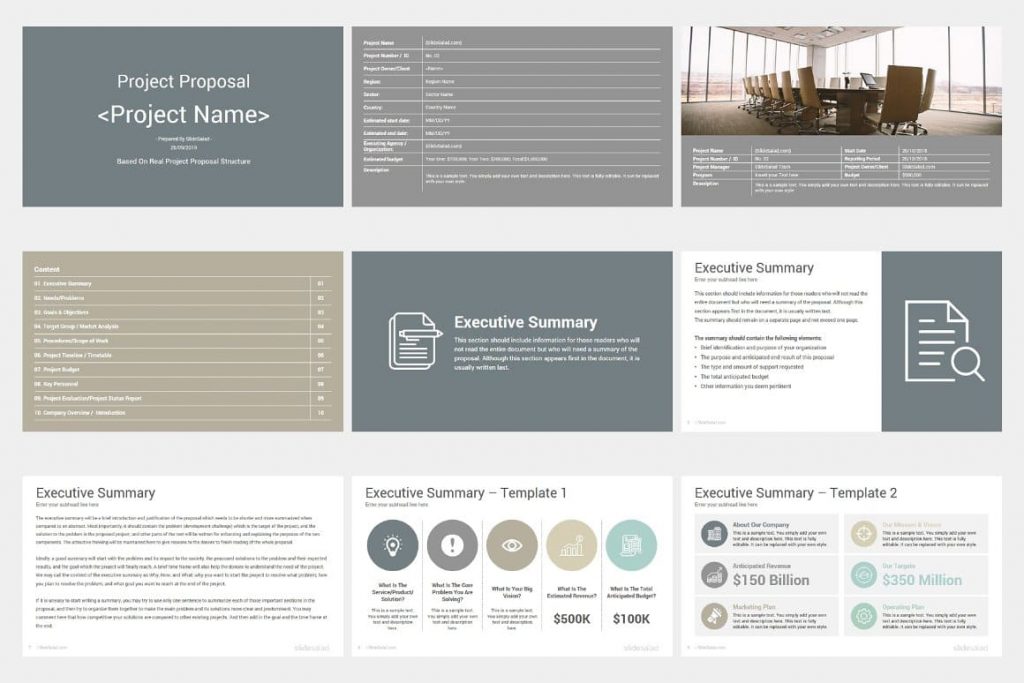 Executive Summary Project Proposal PowerPoint Template slides.