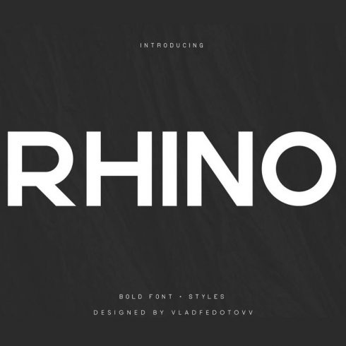 Rhino Interstate Bold Font Styles cover image.