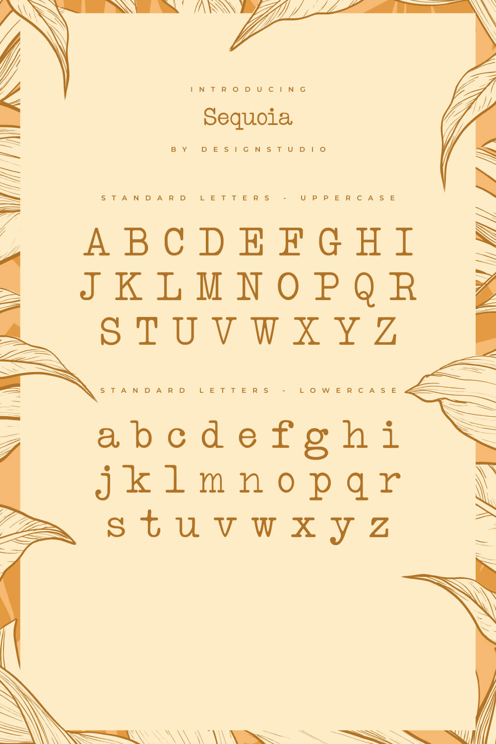 Sequoia Serif Monospaced Font preview.
