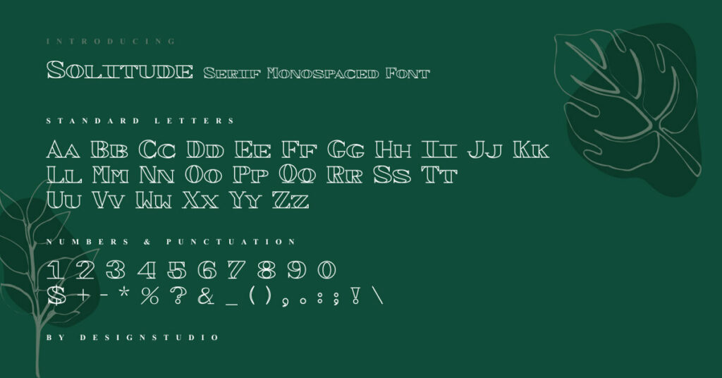 Solitude Serif Monospaced Font – MasterBundles