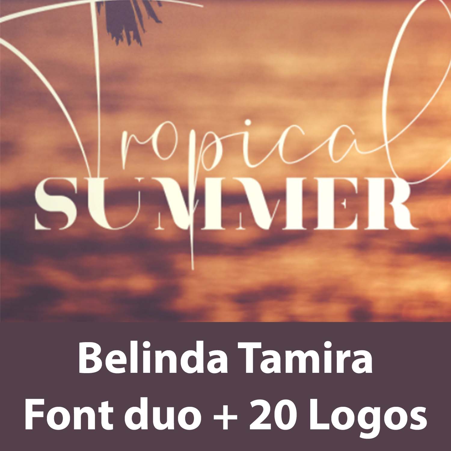 Belinda Tamira - Font duo + 20 Logos cover image.