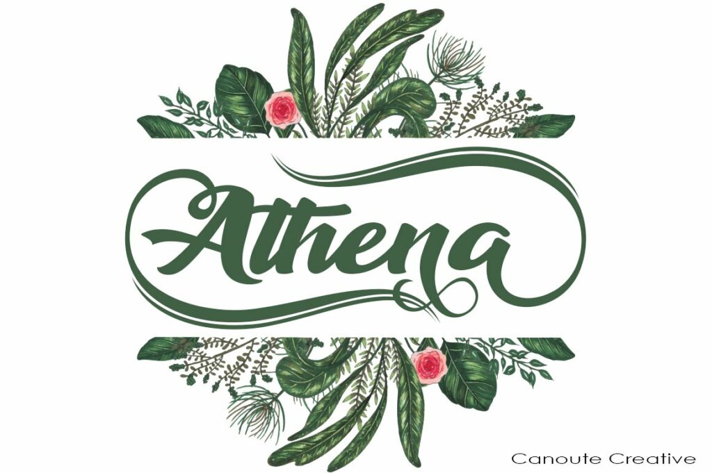 Athena a fonts of stylish calligraphy that have a varied base line, fine lines, classic and elegant touches.