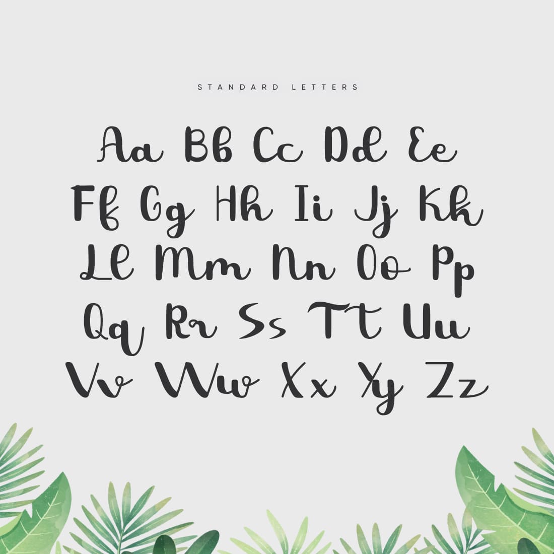 MasterBundles Free Tropical Font Cover with Standart Letters