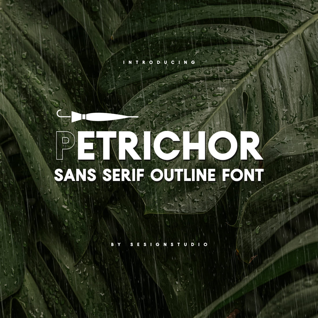 Petrichor Sans Serif Outline Font MasterBundles Main Cover.