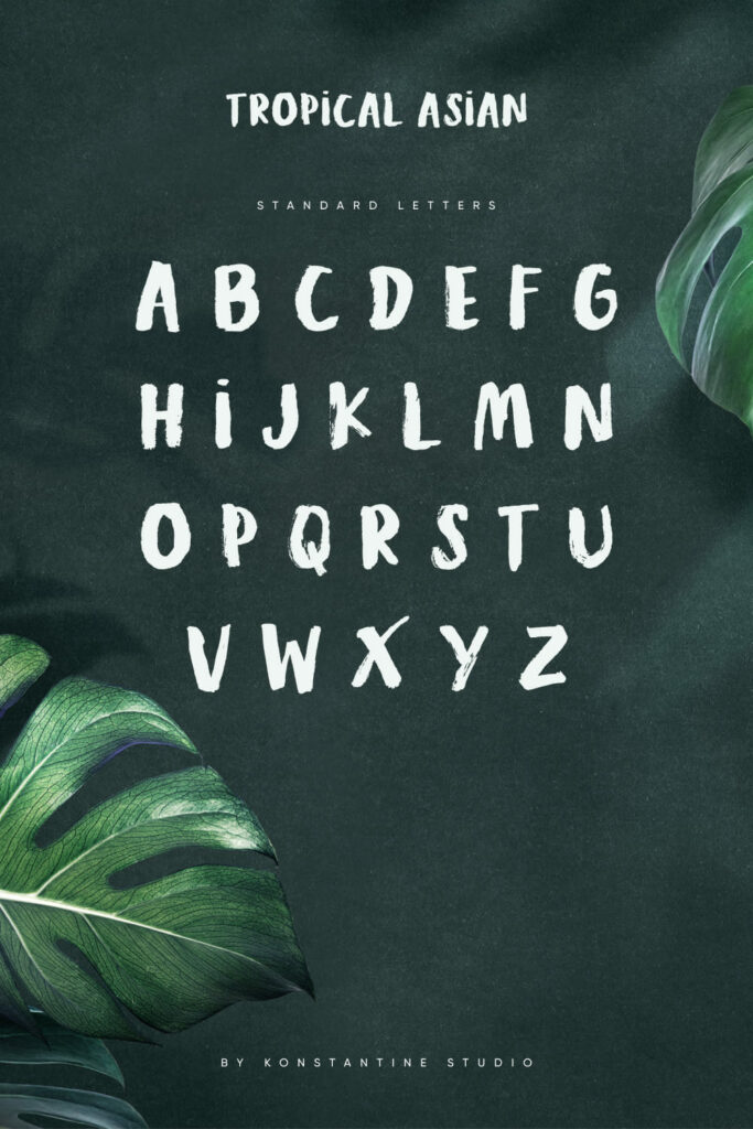 MasterBundles Pinterest Image Tropical Asian Free Font Standart Letters Preview.