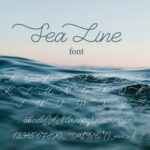 Sea Line Unique Monoline Script Font cover image.