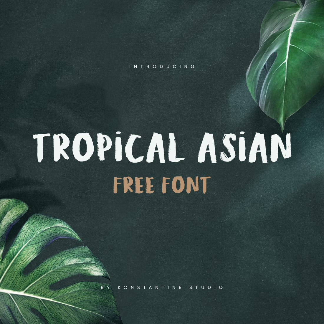 Tropical Asian Free Font Awesome MasterBundles Main Cover.