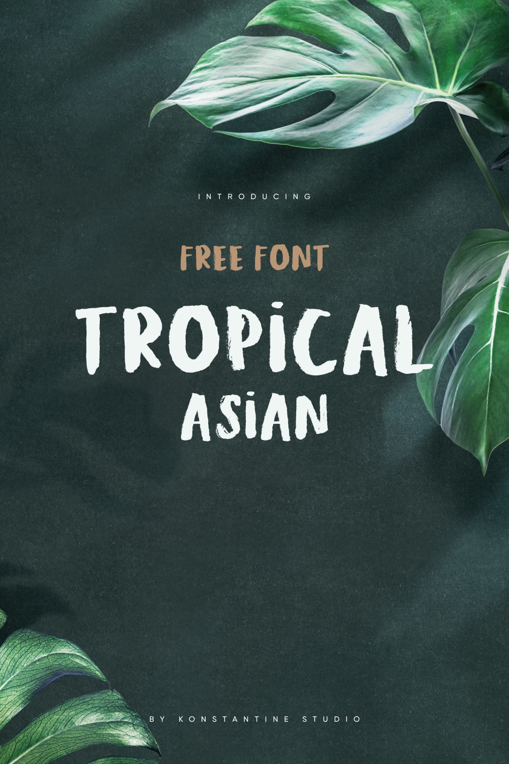 Tropical Asian Free Font Pinterest Collage Image by MasterBundles.