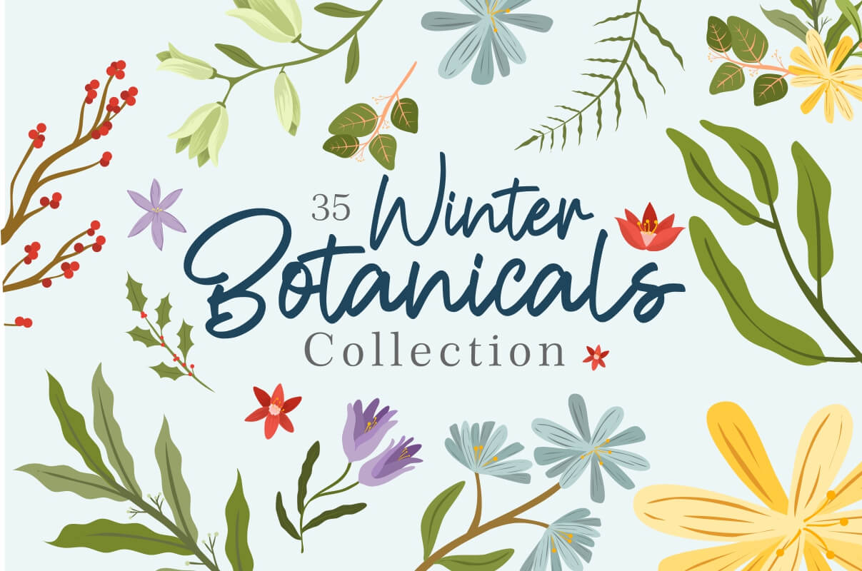 Winter Botanicals Cover