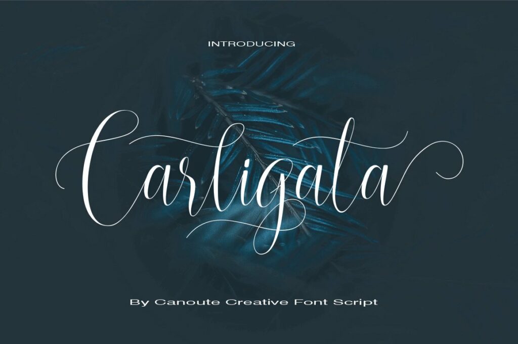 Carligata a fonts of stylish calligraphy that have a varied base line, fine lines, classic and elegant touches. 