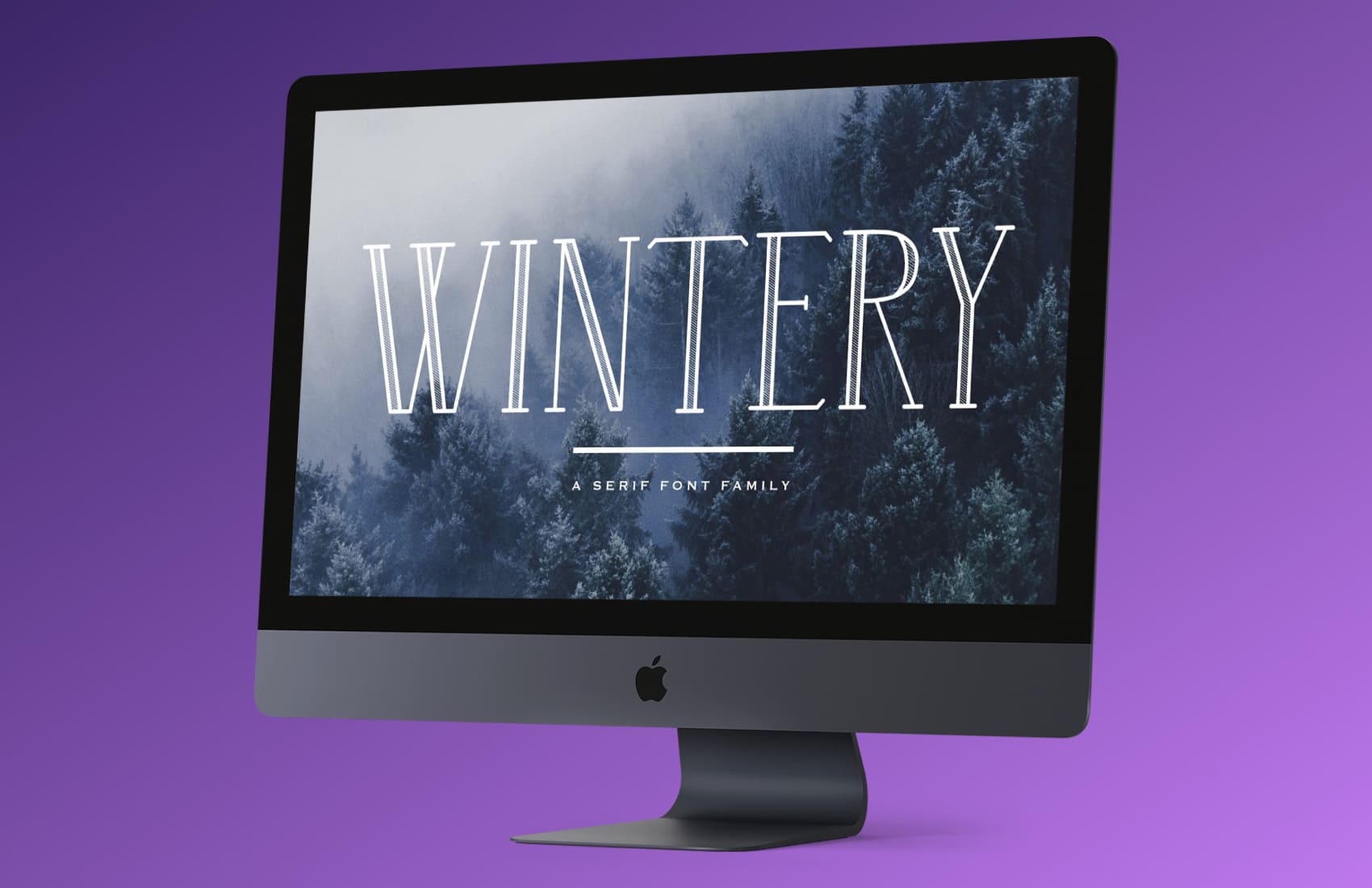 Wintery - A Serif Font Family On The Monoblock.