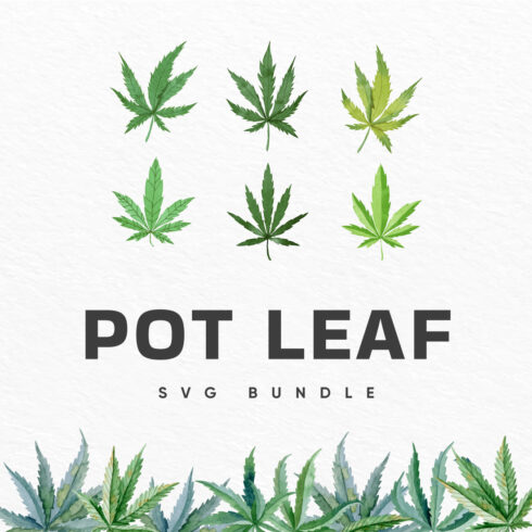 Pot Leaf SVG Bundle cover.