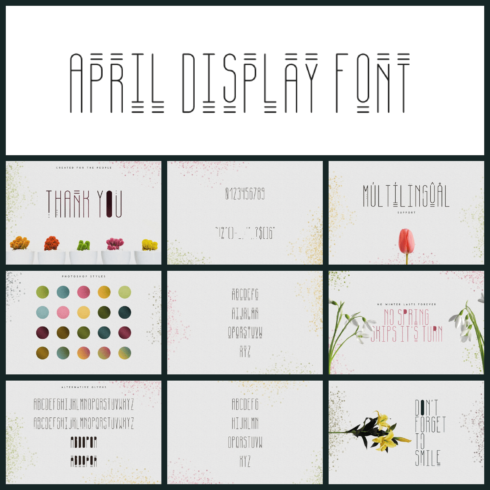 [SPRING VIBES] APRIL DISPLAY FONT cover image.