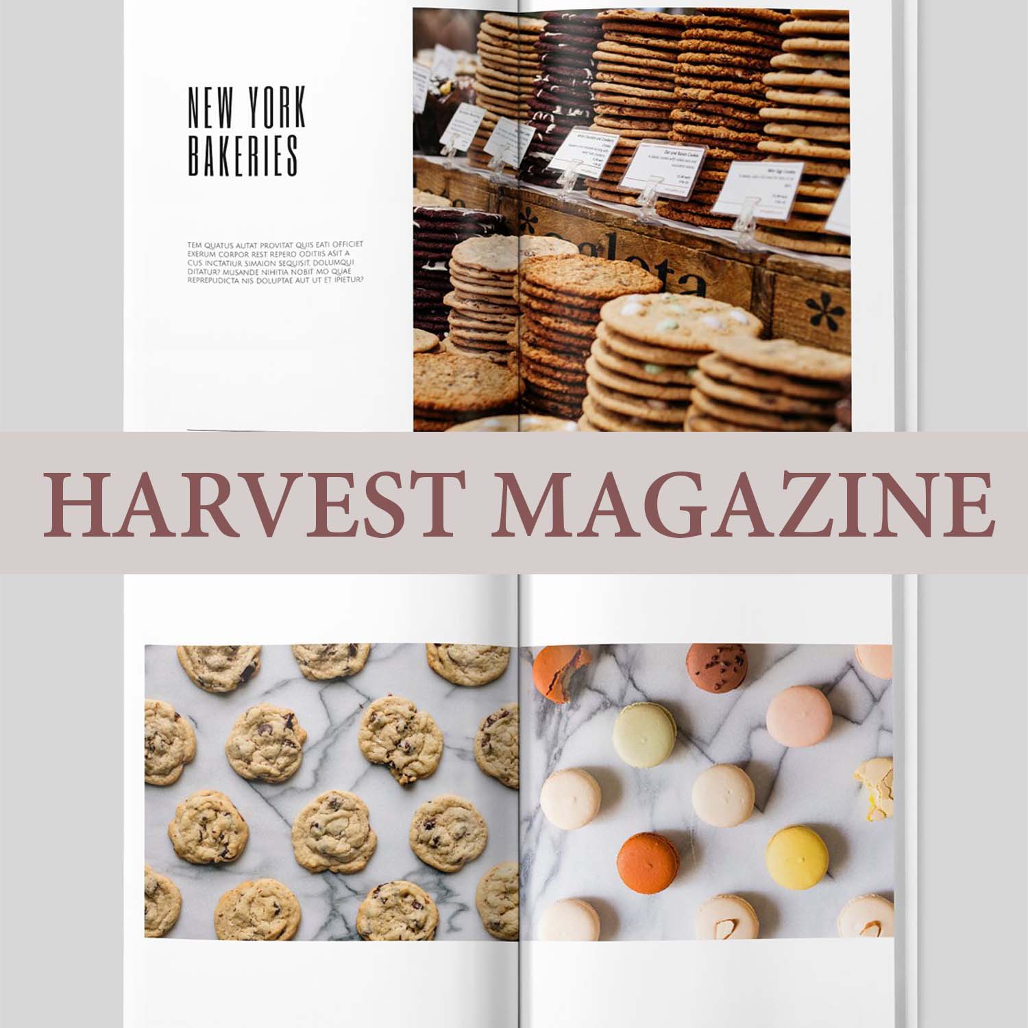 HARVEST MAGAZINE cover 1500x1500 1