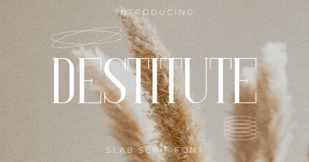 Destitute Slab Serif Font Facebook Collage Image by MasterBundles.