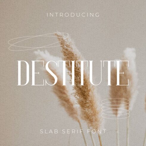Destitute Slab Serif Font main cover by MasterBundles.