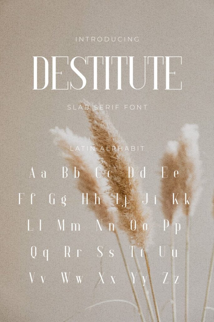 Destitute Slab Serif Font Pinterest MasterBundles Collage Image with latin alphabet.