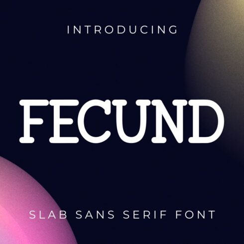 Fecund Slab Sans Serif Font main cover by MasterBundles.