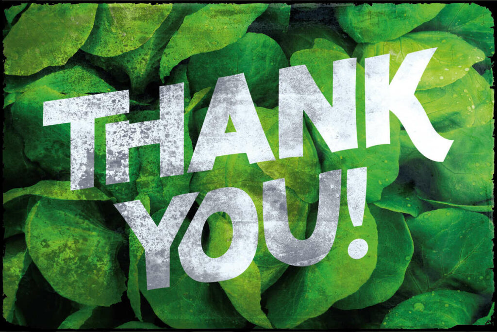 Healthy Freak Label Font preview with thank you phrase.