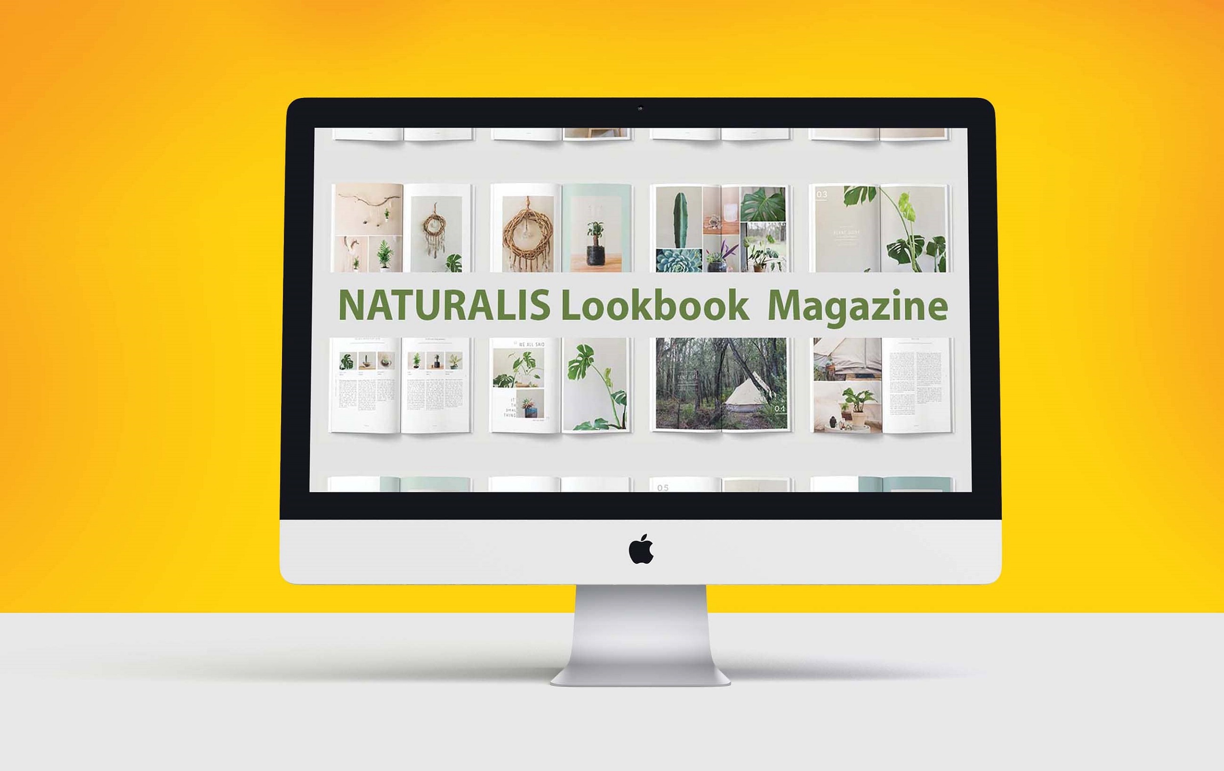 naturalis lookbook magazine computer mockup.