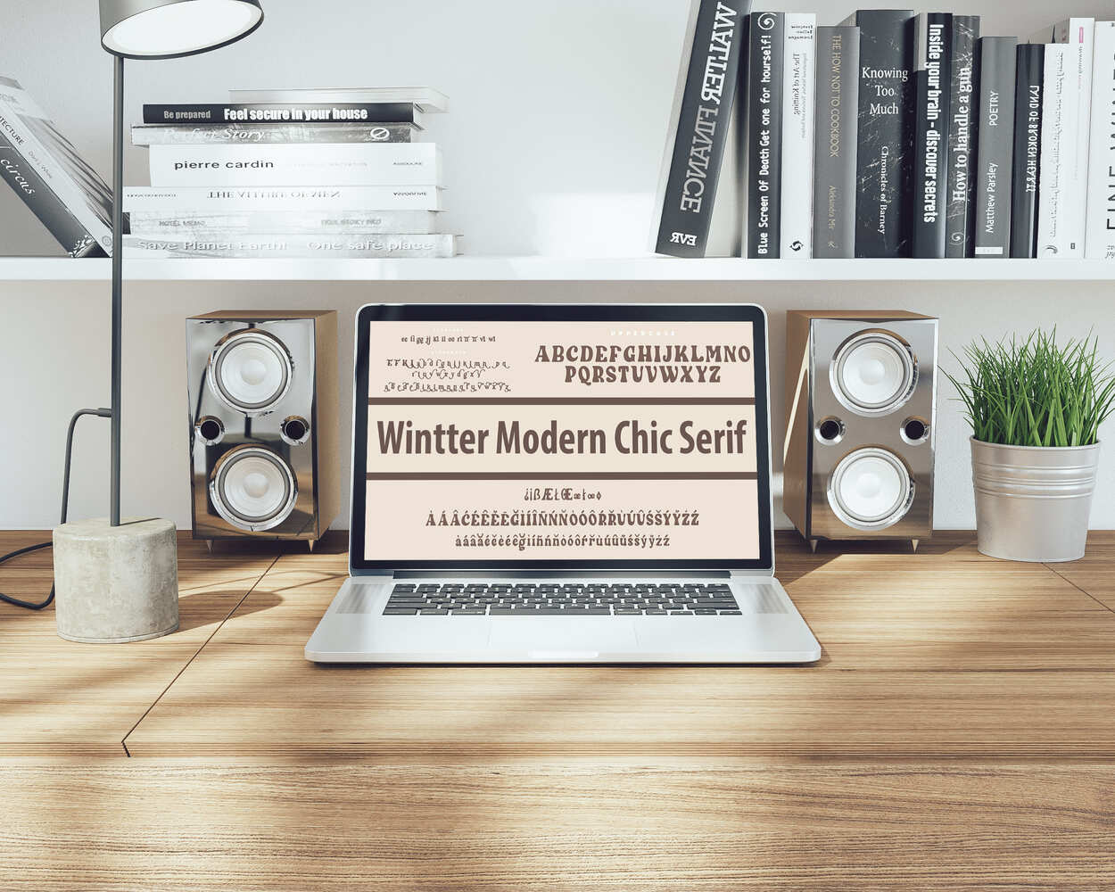 Wintter Modern Chic Serif Symbols Preview On The Laptop.