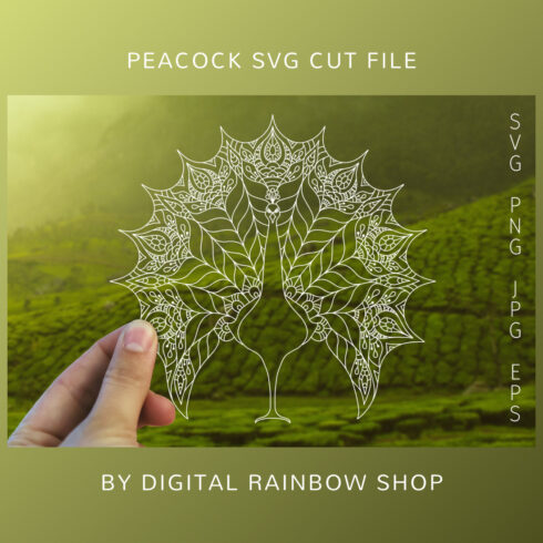 01 peacock svg cut file 1100x1100 1