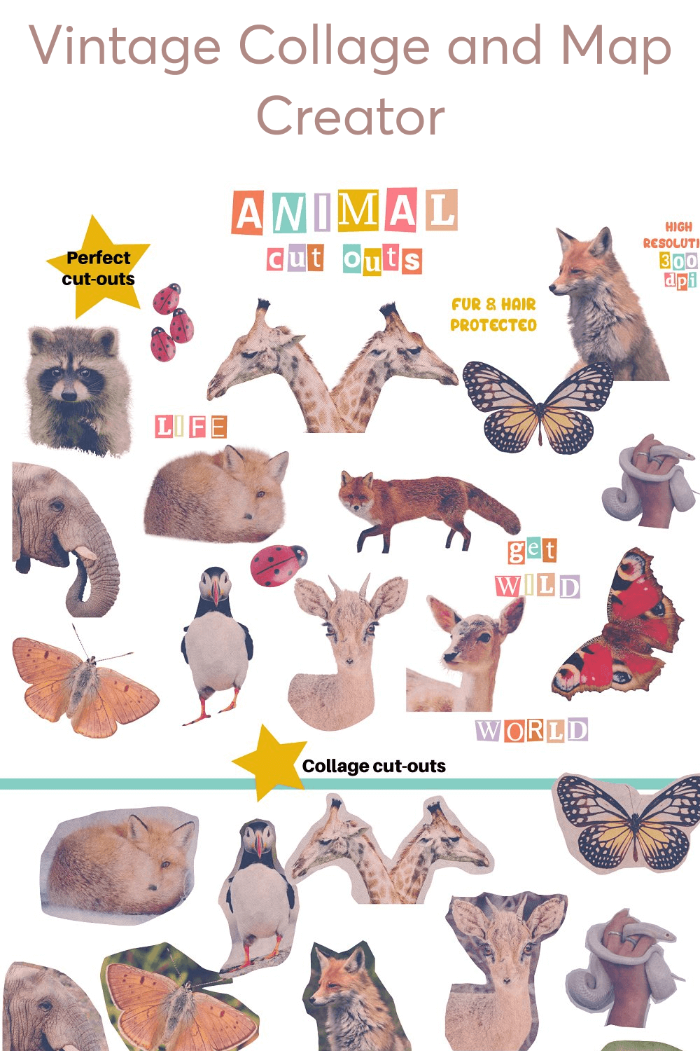 Animal Cut Outs.