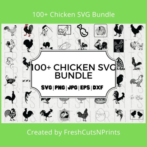 Chicken svg bundle with a green background.