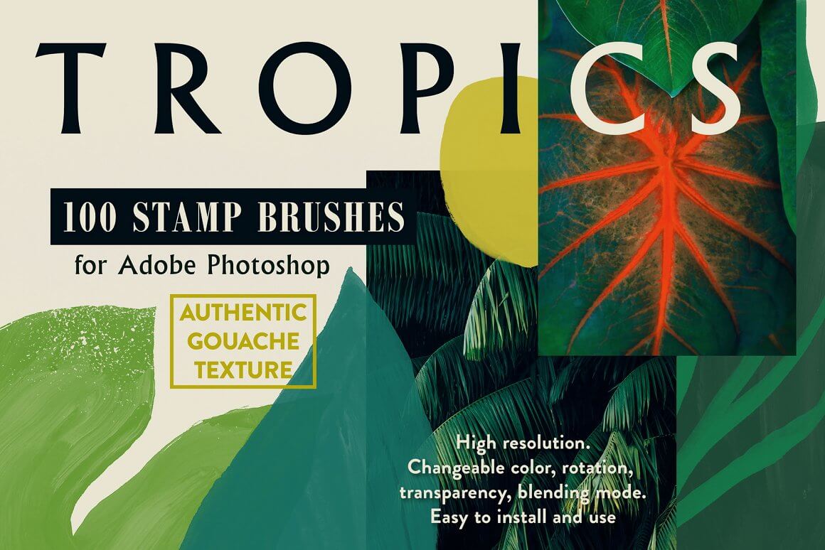 100 stamp brushes of tropics.