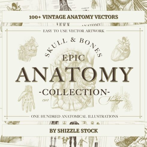 100 vintage anatomy vectors cover image.
