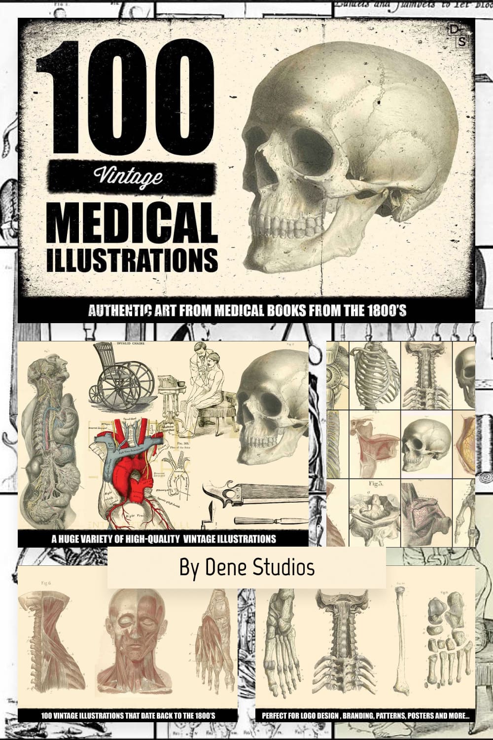 100 vintage medical illustrations pinterest image.