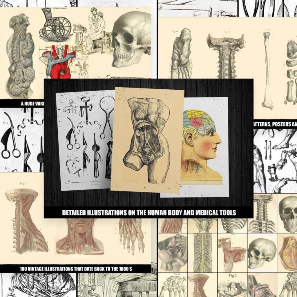 free download vintage medical illustrations