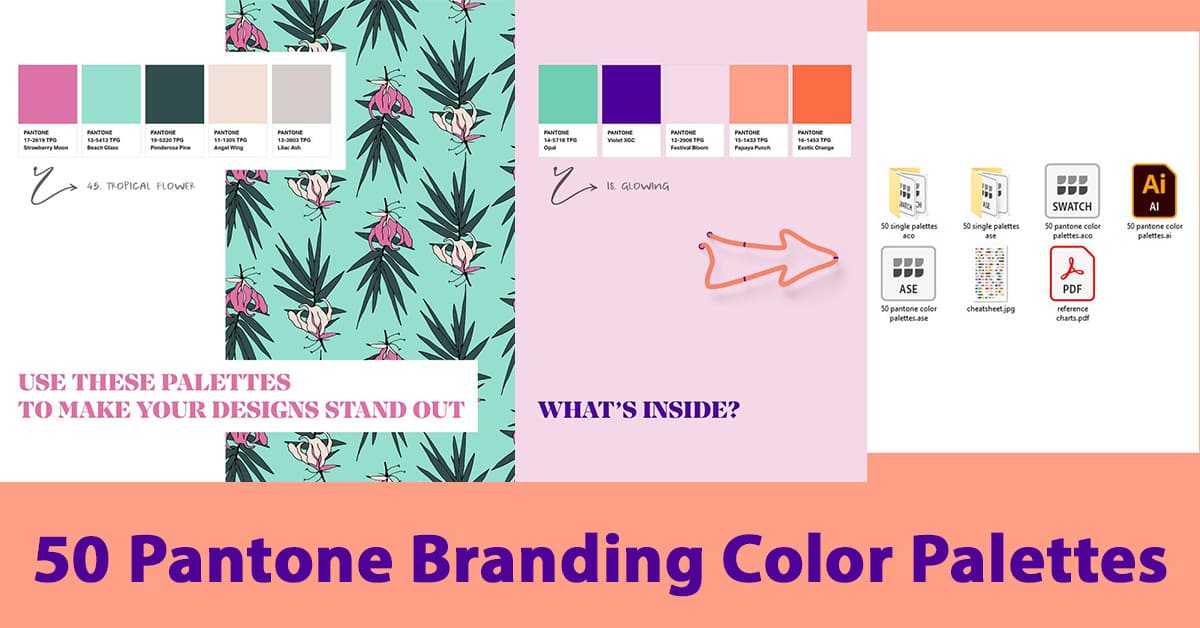 50 Pantone Branding Color Palettes - "What's Inside?".