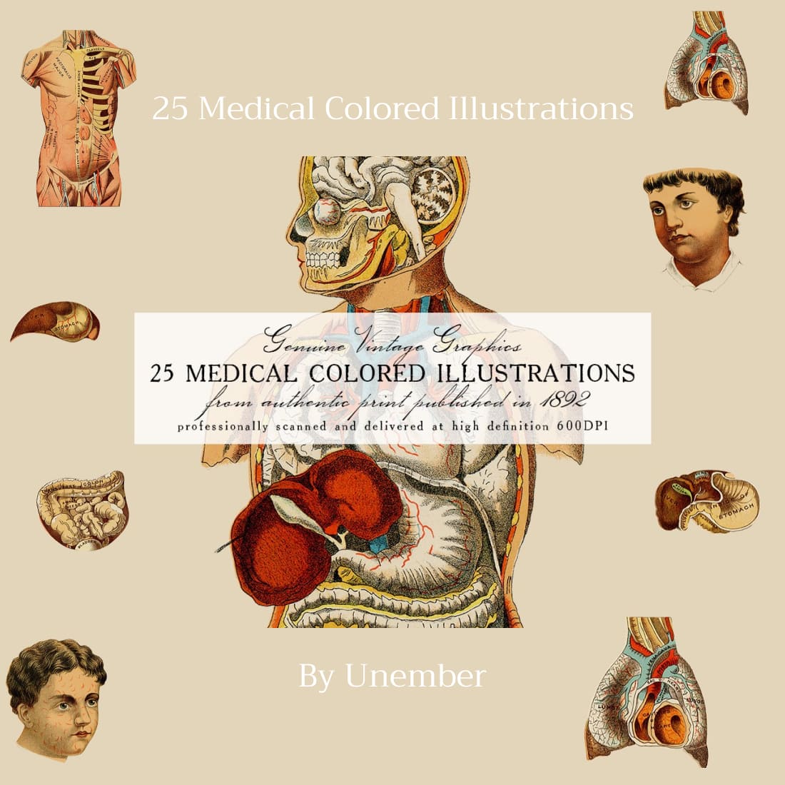 25 medical colored illustrations cover image.