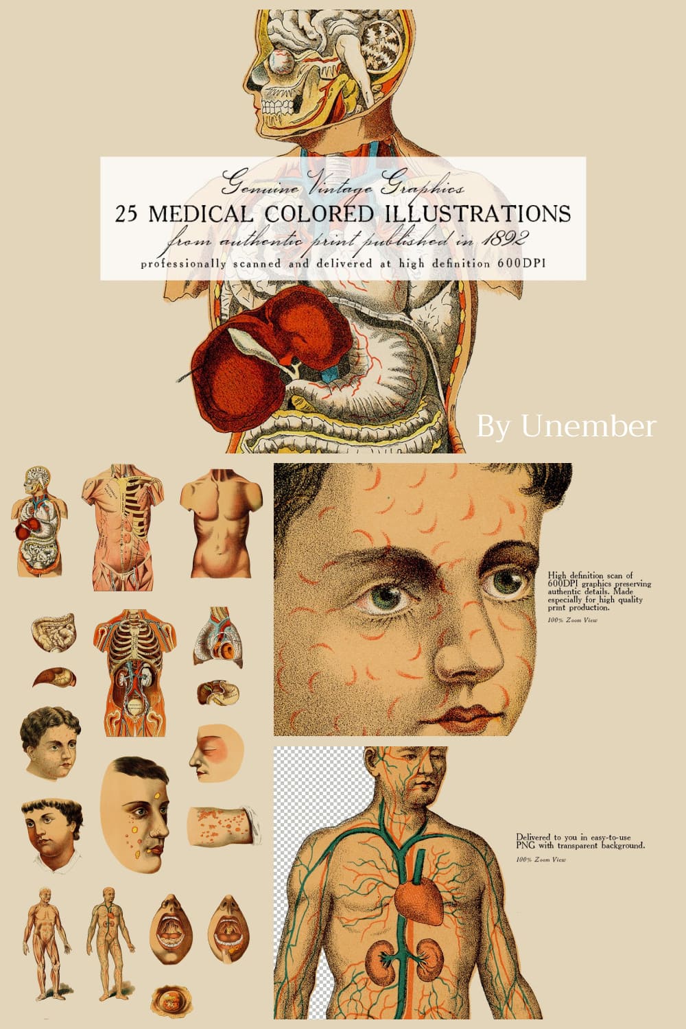 25 medical colored illustrations pinterest image.