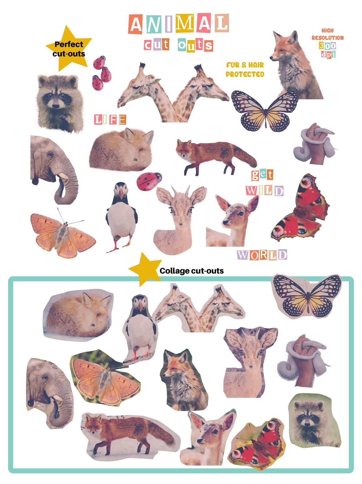 Animals Collage Cut-outs.
