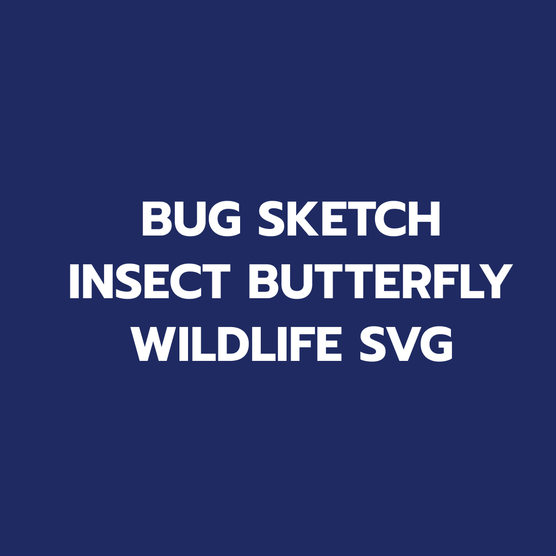 bug sketch insect butterfly wildlife svg