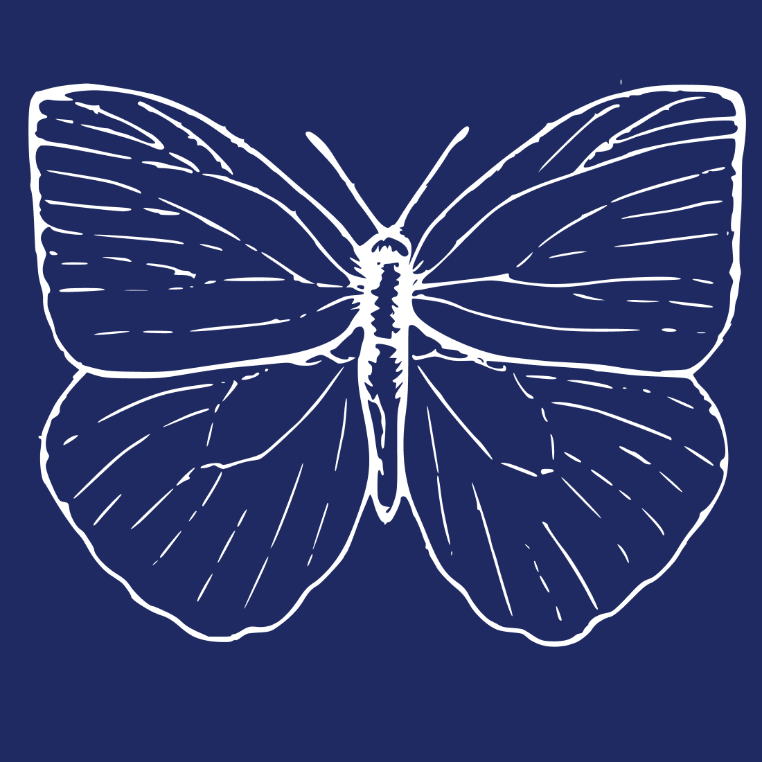 Bug Sketch Insect Butterfly Wildlife SVG cover image.