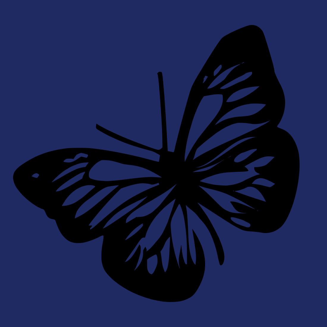 Butterfly SVG Free cover image.