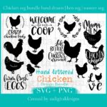 chicken svg bundle hand drawn rooster cover image.