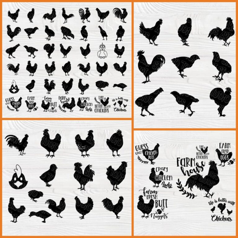 Chicken SVG Cut File_Chicken Bundle – MasterBundles