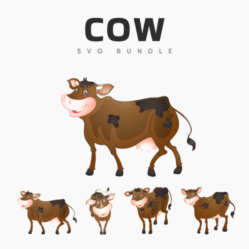 Brown cow standing in front of a white background.