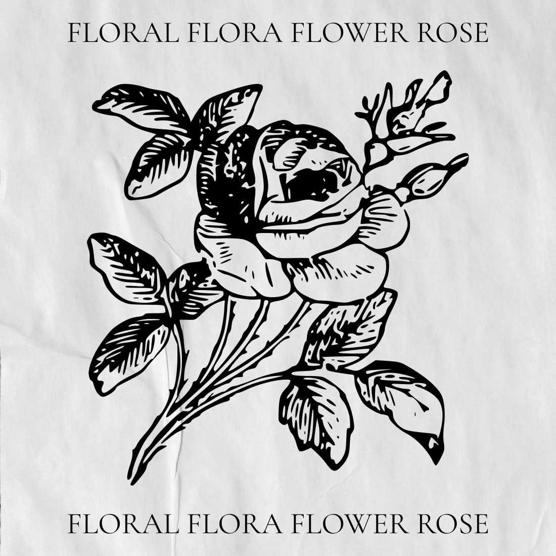 floral flora flower rose cover image.